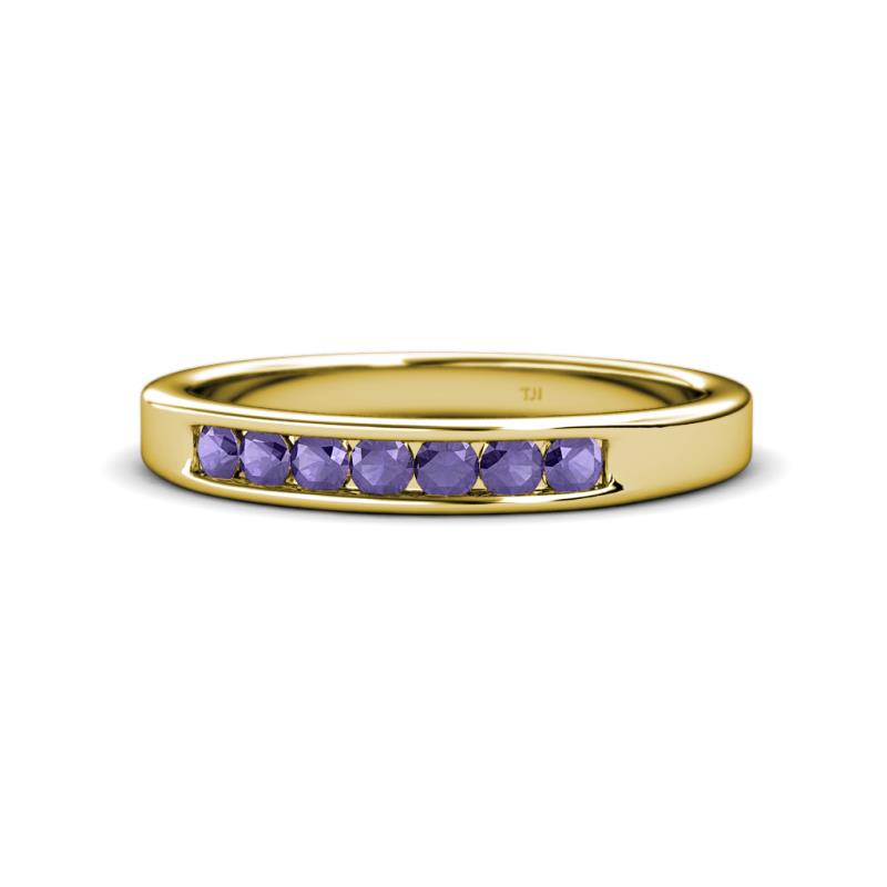 Kathiryn 2.70 mm Iolite 7 Stone Wedding Band 