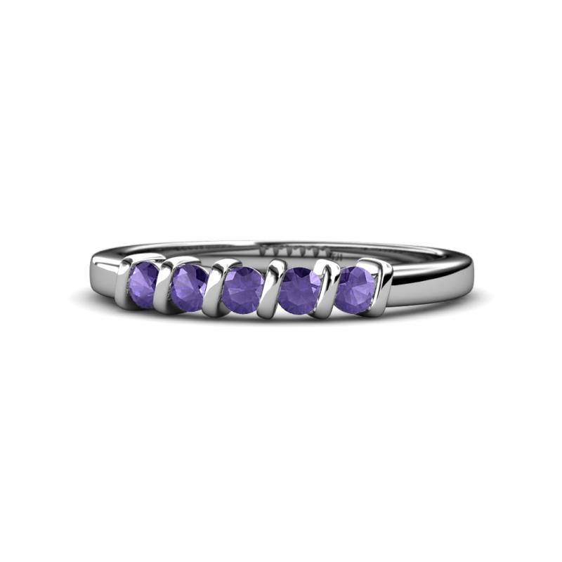 Talia Iolite Wedding Band 