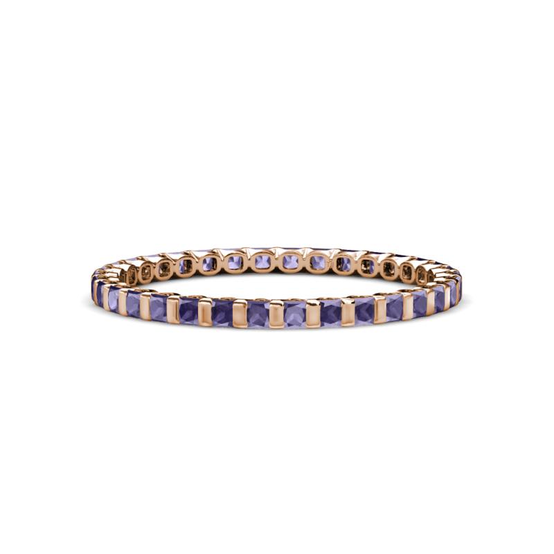 Clarissa 2.00 mm Princess Cut Iolite Eternity Band 