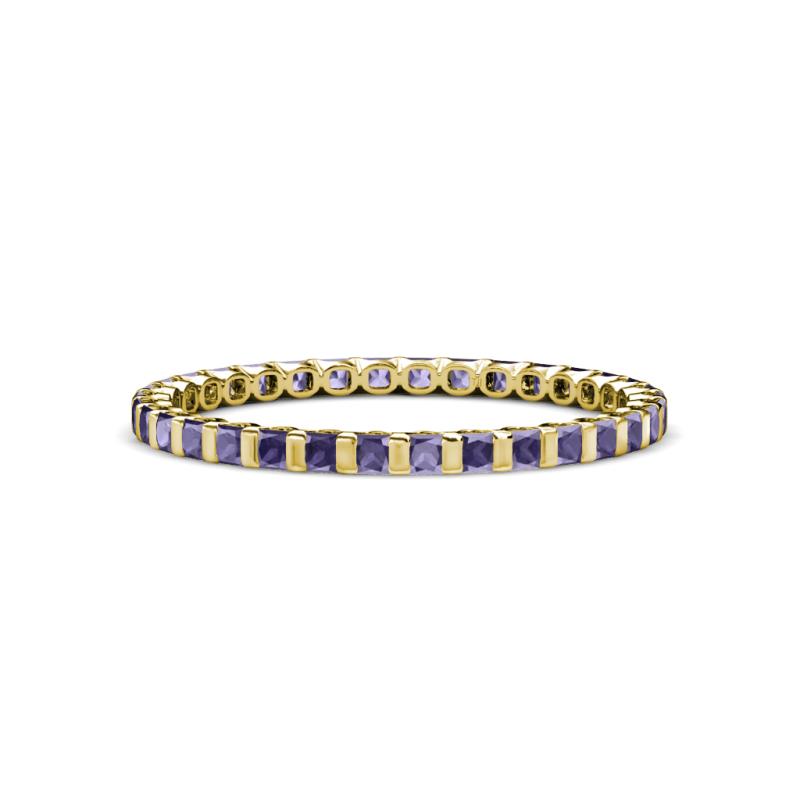 Clarissa 2.00 mm Princess Cut Iolite Eternity Band 