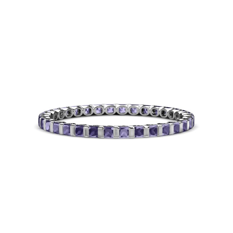 Clarissa 2.00 mm Princess Cut Iolite Eternity Band 