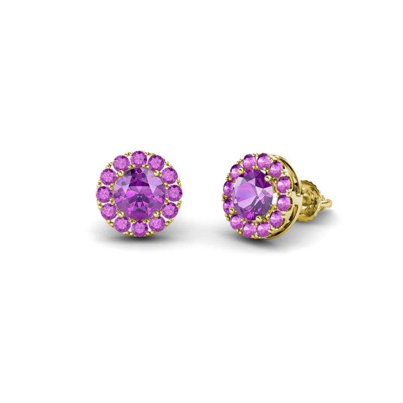Bernice 0.71 ctw Round Amethyst Halo Stud Earrings 