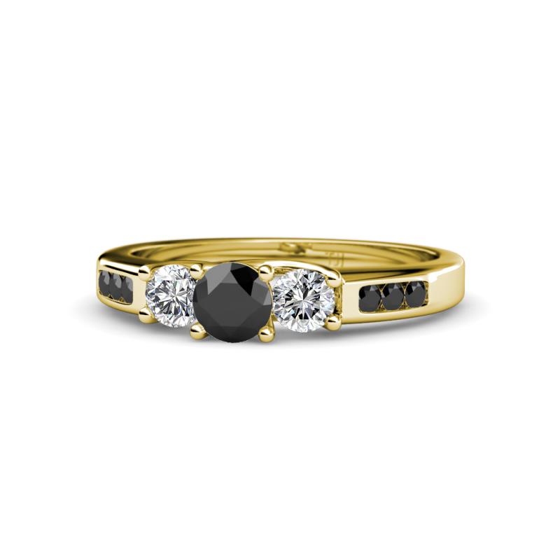Jamille Black and White Diamond Three Stone with Side Black Diamond Ring 