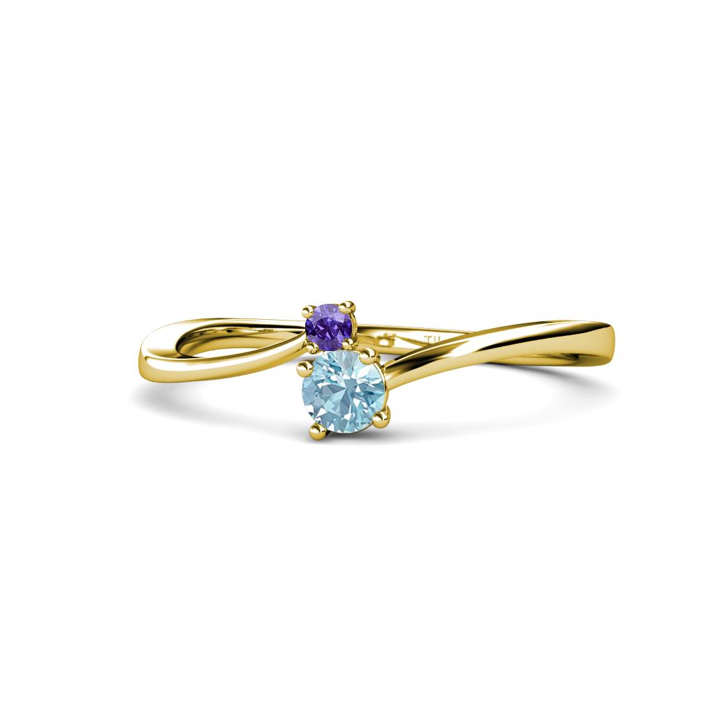 Lucie 4.10 mm Bold Round Iolite and Aquamarine 2 Stone Promise Ring 