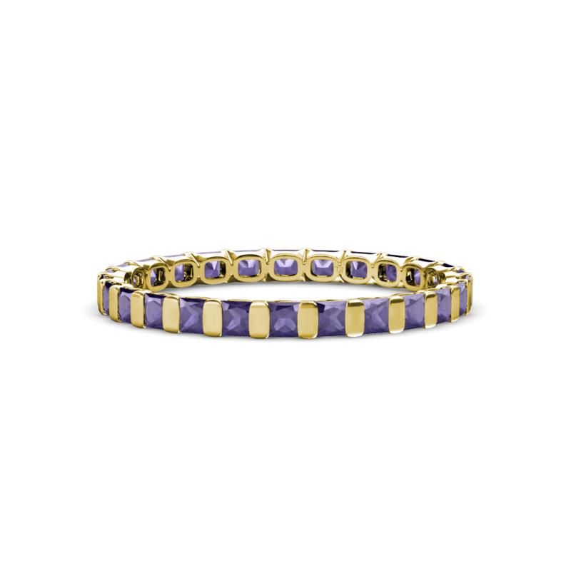 Clarissa 2.50 mm Princess Cut Iolite Eternity Band 