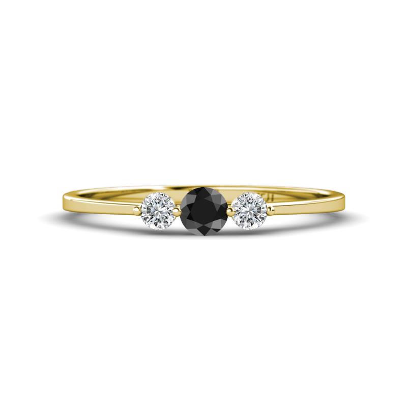 Shirley 4.00 mm Round Black Diamond and Lab Grown Diamond Three Stone Engagement Ring 