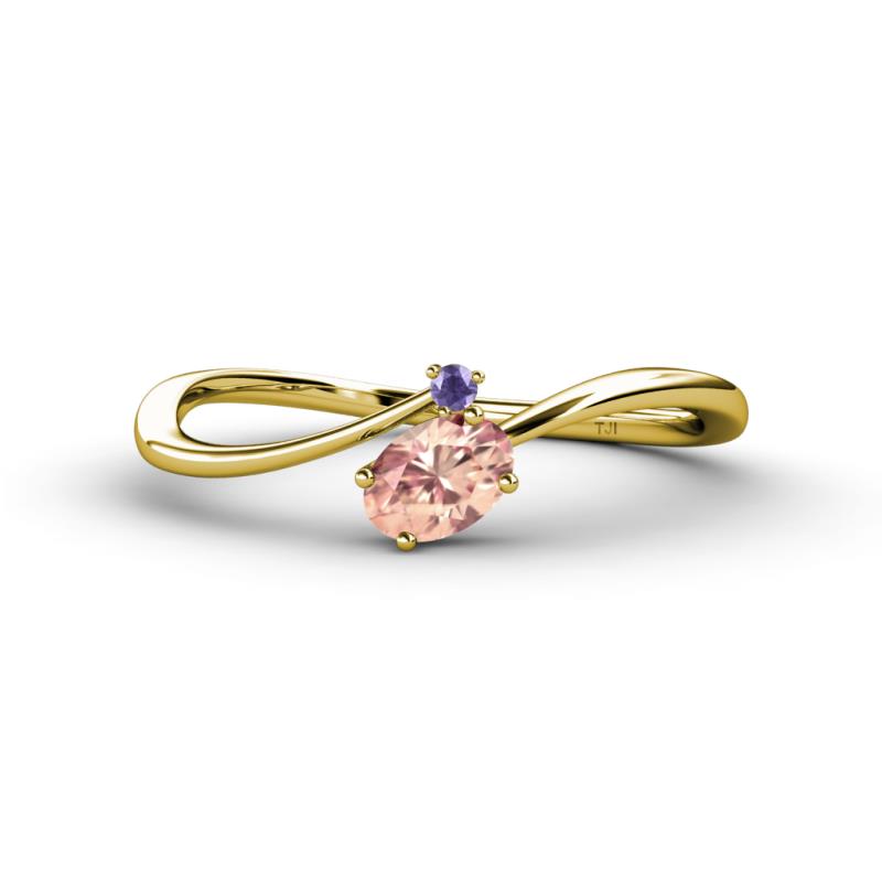 Lucie Bold Oval Cut Morganite and Round Iolite 2 Stone Promise Ring 