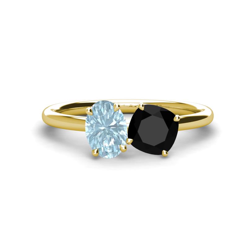 Tanya Oval Shape Aquamarine & Cushion Shape Black Onyx 2 Stone Duo Ring 