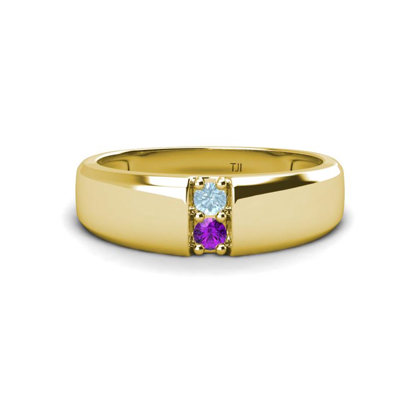 Ethan 3.00 mm Round Aquamarine and Amethyst 2 Stone Men Wedding Ring 