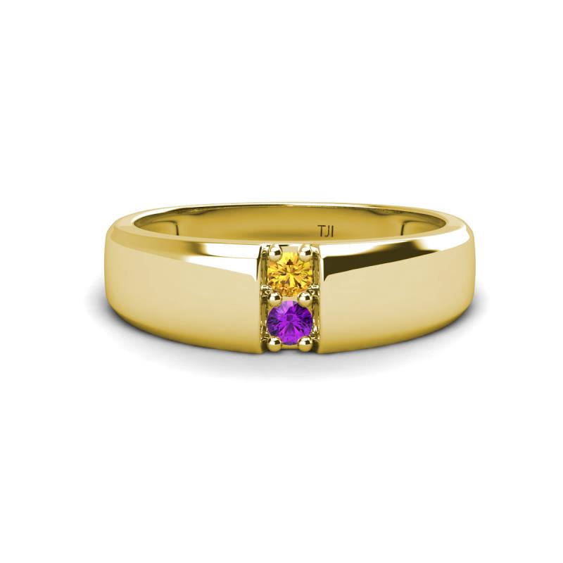 Ethan 3.00 mm Round Citrine and Amethyst 2 Stone Men Wedding Ring 