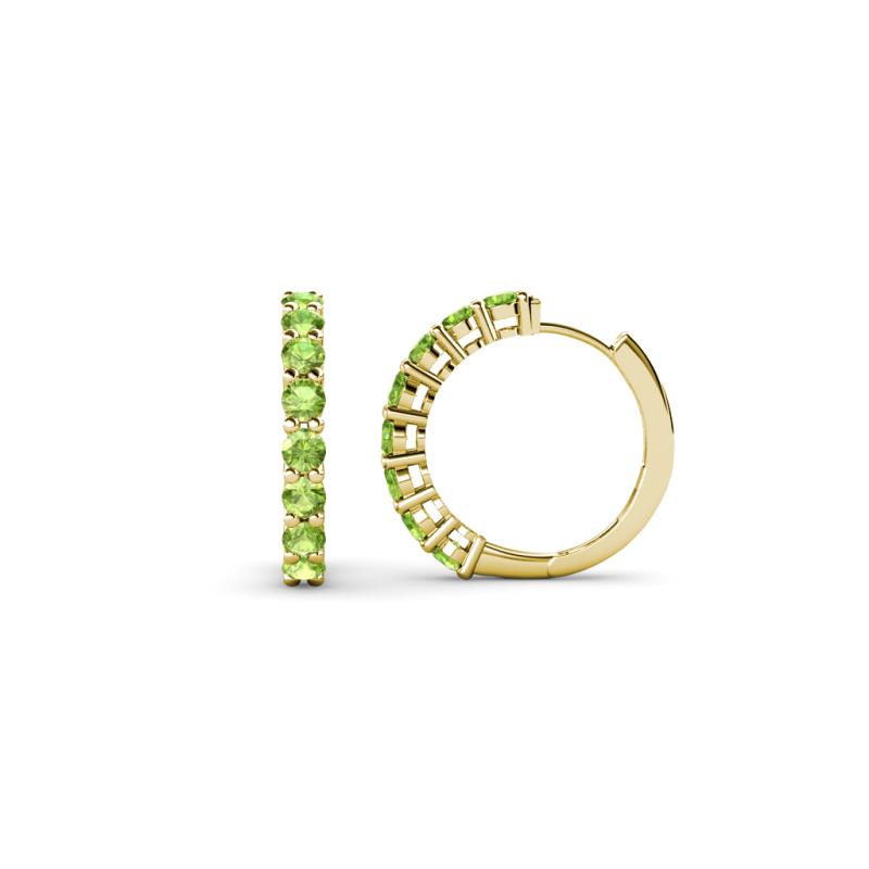 Raya Round Peridot Hoop Earrings 