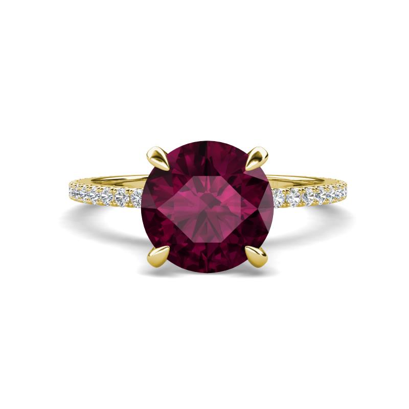 Aisha 2.61 Ctw (8.00 mm) Round Rhodolite Garnet with side Lab Grown Diamond Hidden Halo Engagement ring