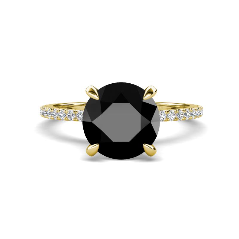 Aisha 3.35 Ctw (8.00 mm) Round Black Diamond with side Lab Grown Diamond Hidden Halo Engagement ring