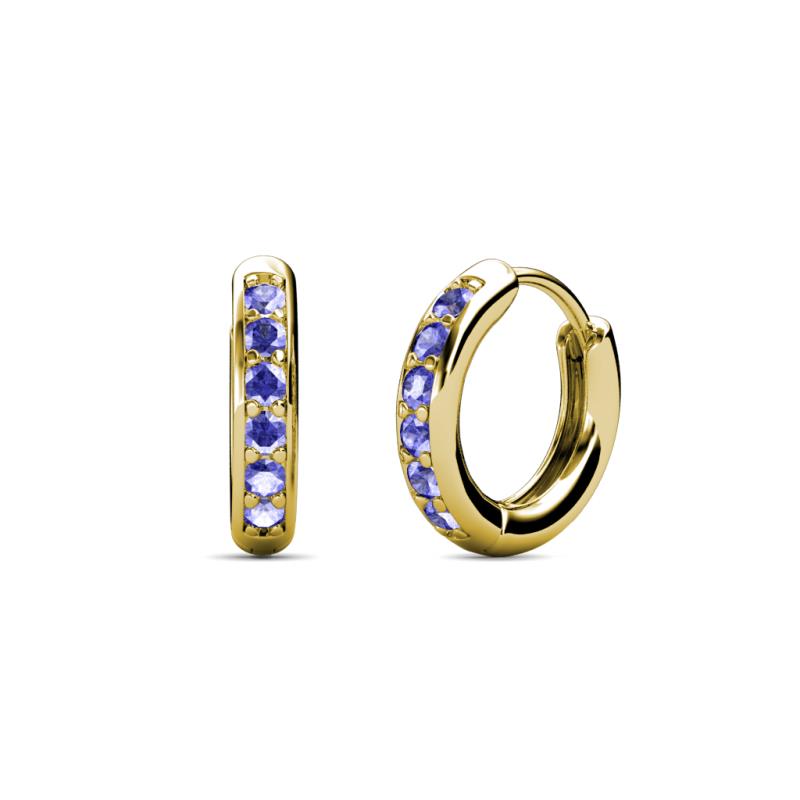 Cianna Petite Tanzanite Hoop Earrings 