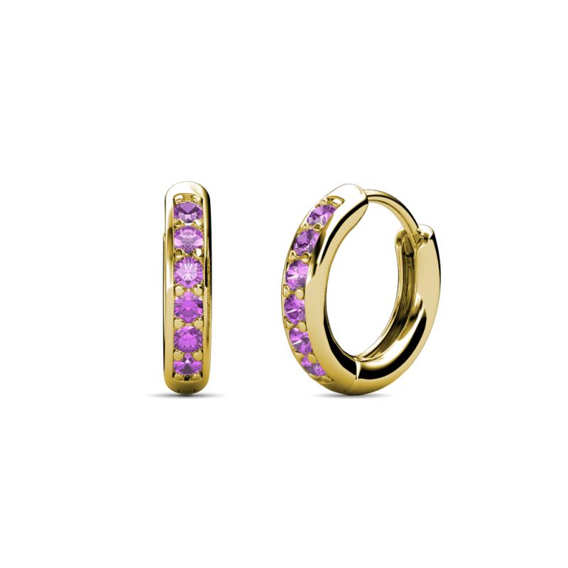 Cianna Petite Amethyst Hoop Earrings 
