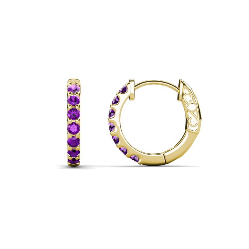 Nico 0.22 ctw Amethyst Small Huggie Earrings 