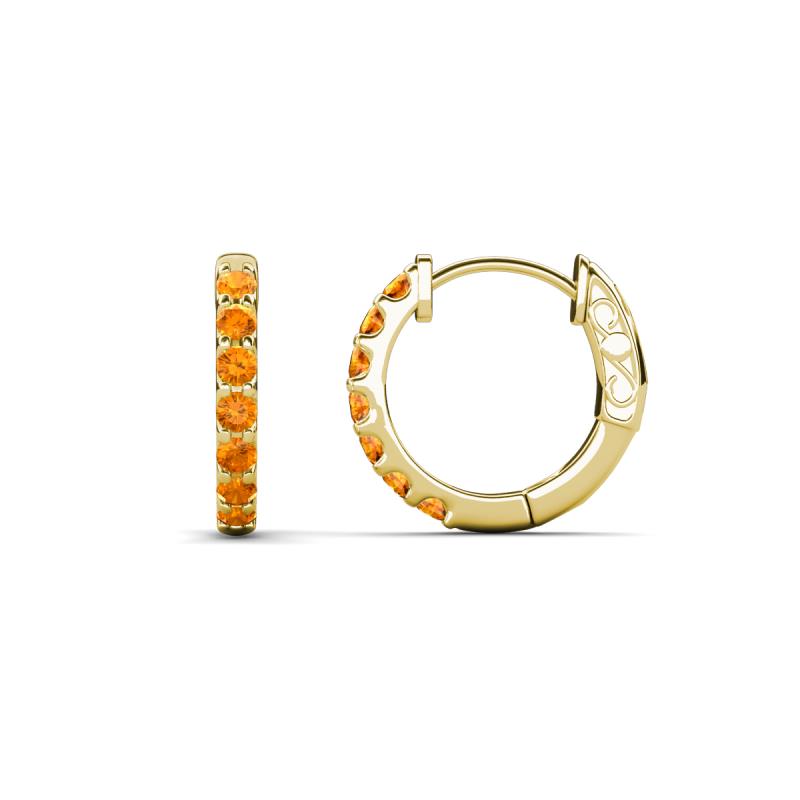 Nico 0.22 ctw Citrine Small Huggie Earrings 