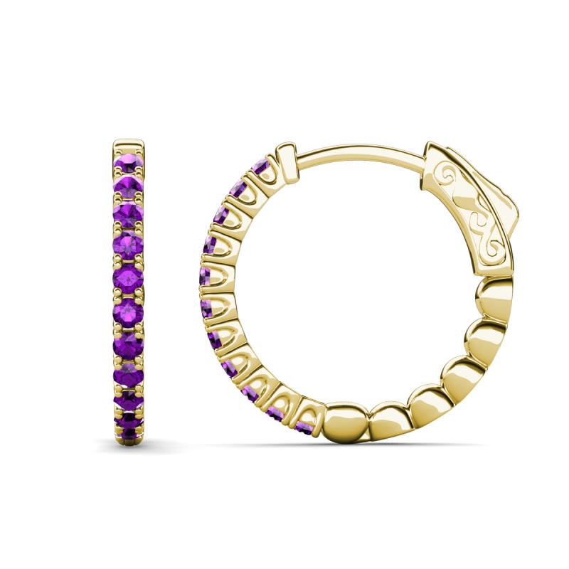 Anna 0.88 ctw Amethyst (2.00 mm) Hoop Earrings 