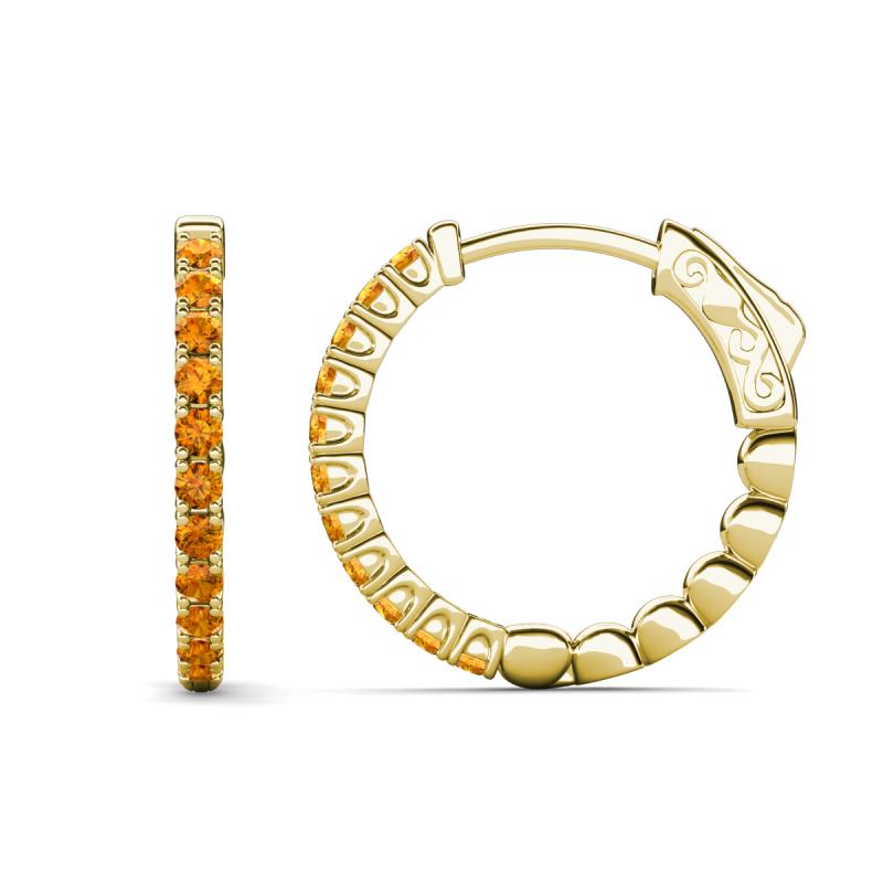 Anna 0.88 ctw Citrine (2.00 mm) Hoop Earrings 