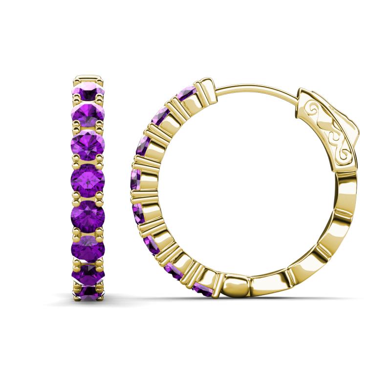Anna 2.40 ctw Amethyst (3.50 mm) Hoop Earrings 