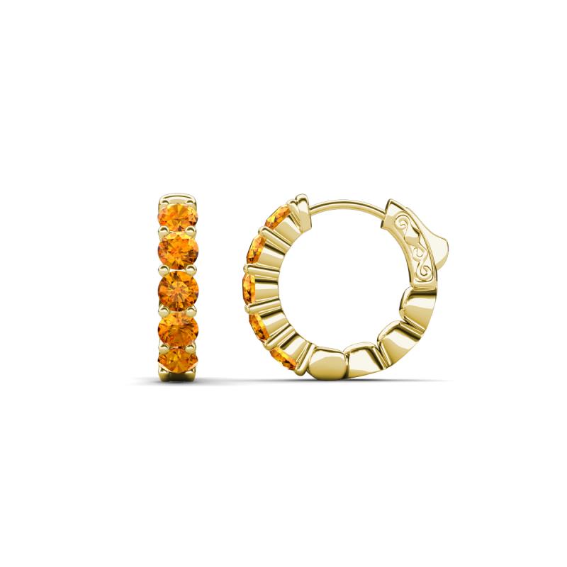 Anika 0.80 ctw Citrine (3.00 mm) Huggie Earrings 