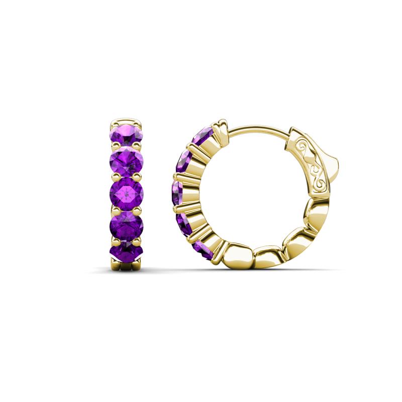 Anika 1.50 ctw Amethyst (3.50 mm) Huggie Earrings 