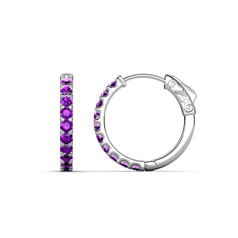 Akira 0.44 ctw Amethyst (2.00 mm) Hoop Earrings 