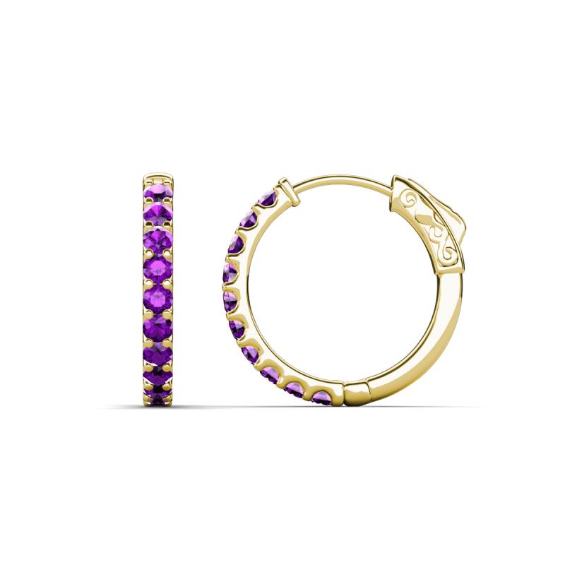 Akira 0.44 ctw Amethyst (2.00 mm) Hoop Earrings 