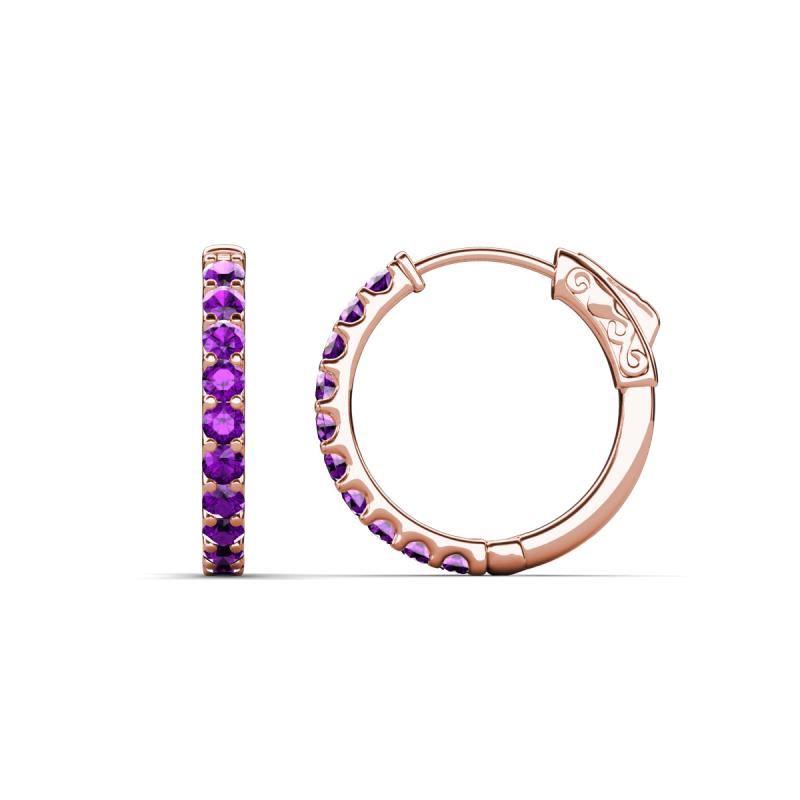 Akira 0.44 ctw Amethyst (2.00 mm) Hoop Earrings 