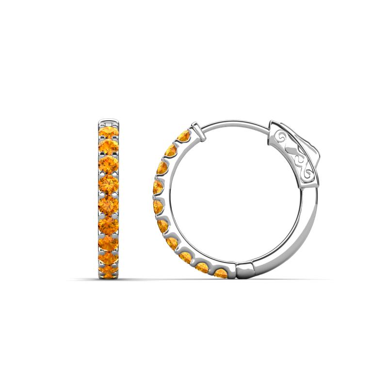 Akira 0.44 ctw Citrine (2.00 mm) Hoop Earrings 