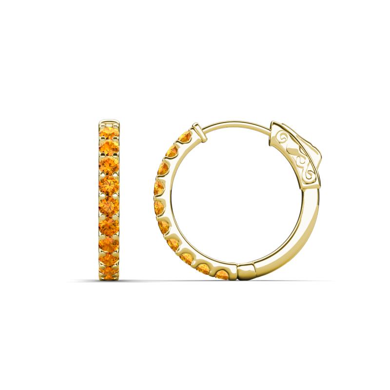 Akira 0.44 ctw Citrine (2.00 mm) Hoop Earrings 