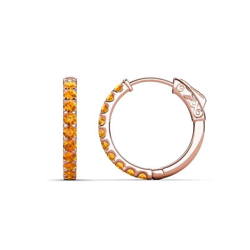 Akira 0.44 ctw Citrine (2.00 mm) Hoop Earrings 