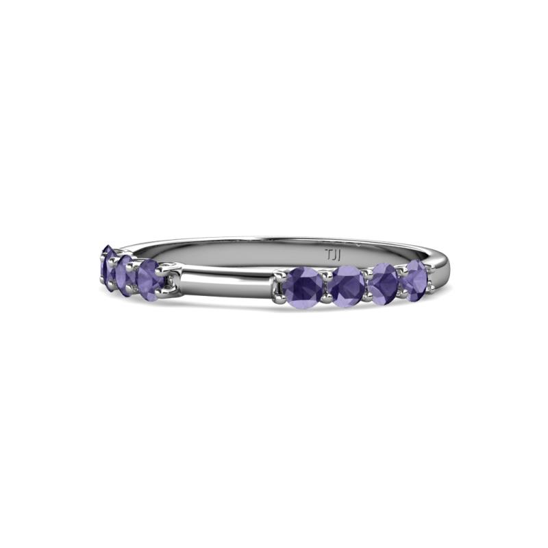 Alicia 0.40 ctw Iolite Wedding Band 
