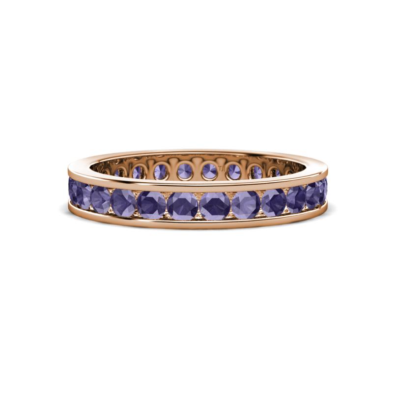 Celina 2.70 mm Round Iolite Eternity Band 