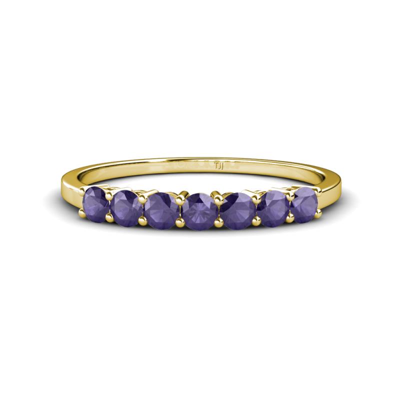 Vivian 3.00 mm Iolite Wedding Band 