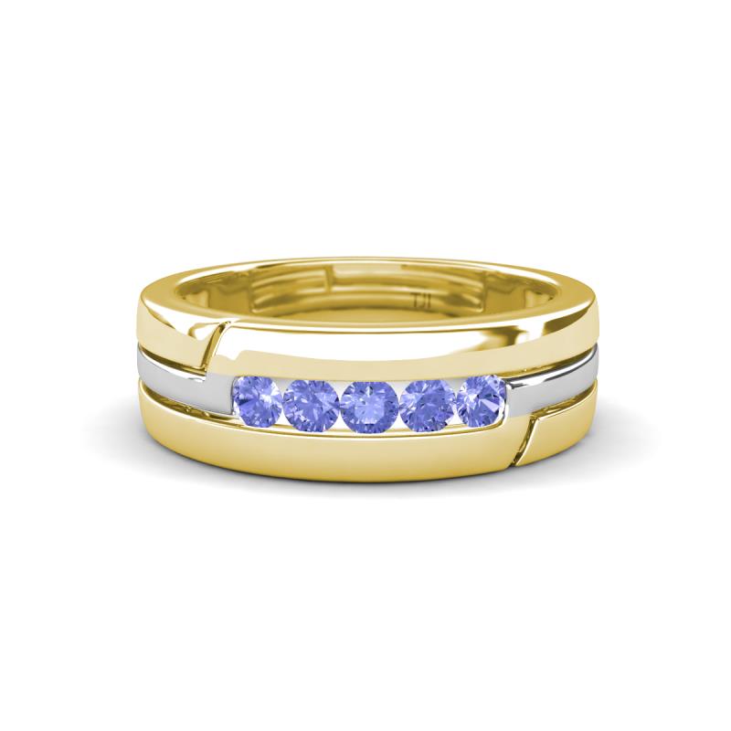 Brandon 0.31 ctw Tanzanite High Polished Men Wedding Band (7 mm) 