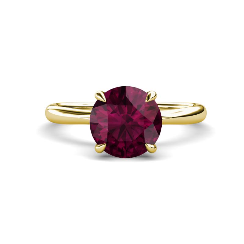 Solina 2.39 ctw Round Rhodolite Garnet accented Lab Grown Diamond Hidden Halo Engagement Ring 