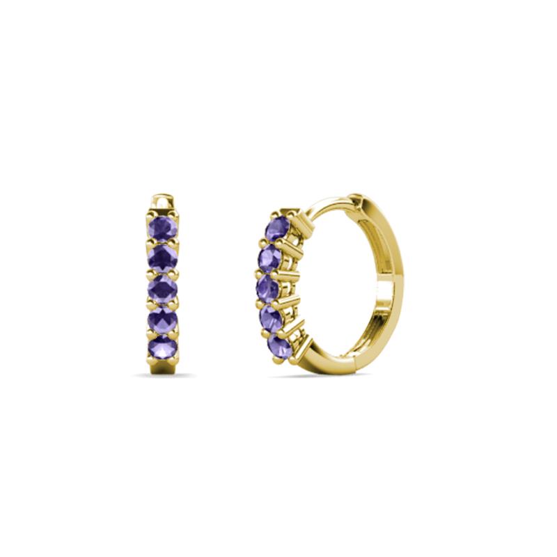 Aricia Petite 0.22 ctw Iolite Women Hoop Earrings 