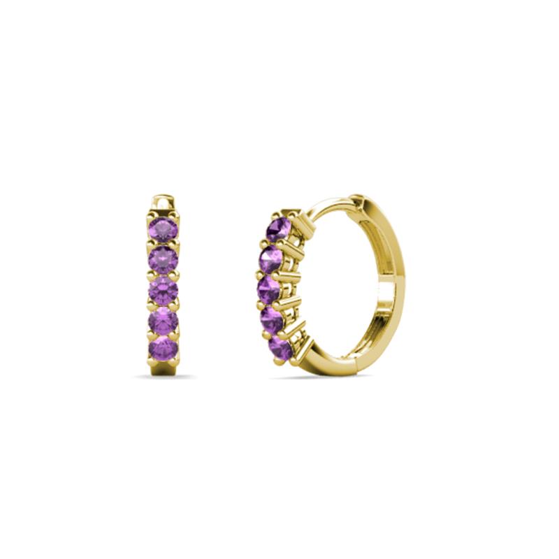 Aricia Petite 0.22 ctw Amethyst Women Hoop Earrings 