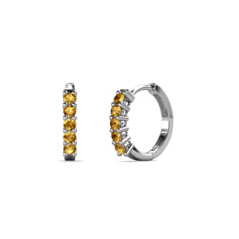 Aricia Petite 0.22 ctw Citrine Women Hoop Earrings 