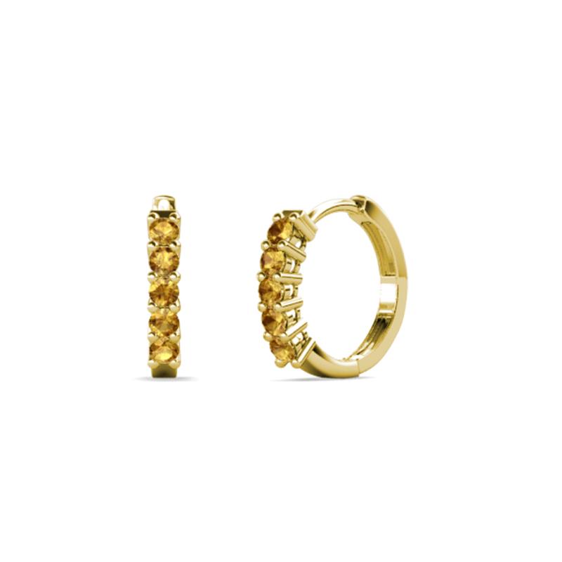 Aricia Petite 0.22 ctw Citrine Women Hoop Earrings 