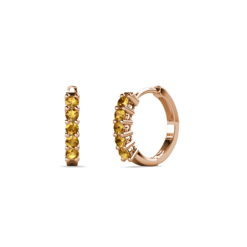 Aricia Petite 0.22 ctw Citrine Women Hoop Earrings 