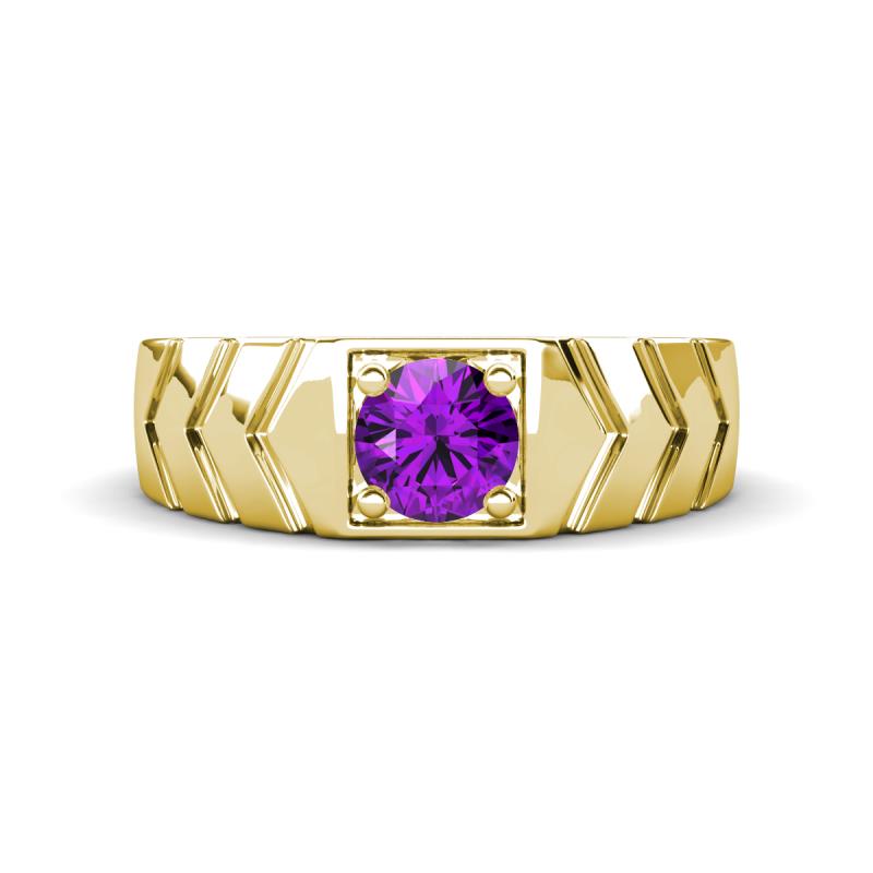 Darius 0.87 ct Amethyst V Pattern Solitaire Men Band (6 mm) 