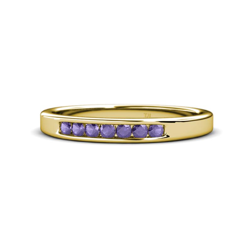 Kathiryn 2.40 mm Iolite 7 Stone Wedding Band 