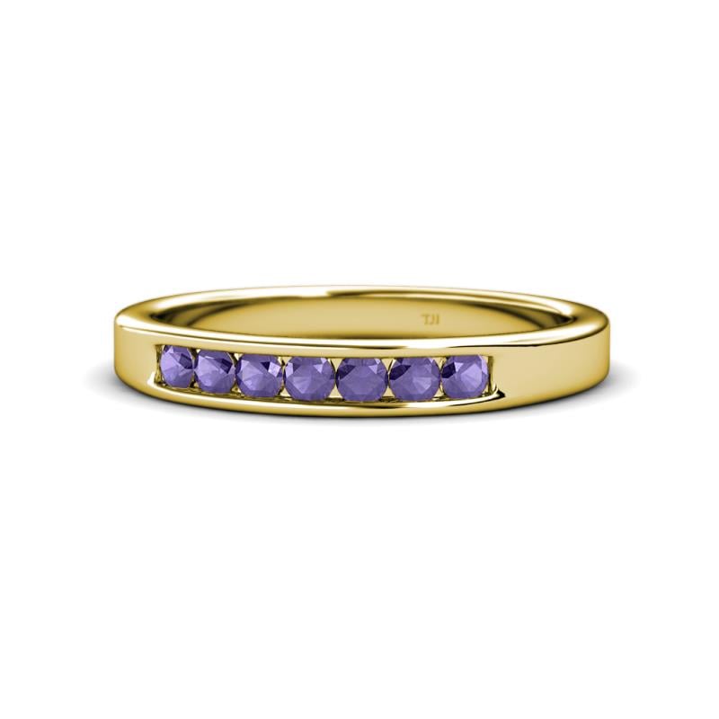 Kathiryn 2.70 mm Iolite 7 Stone Wedding Band 