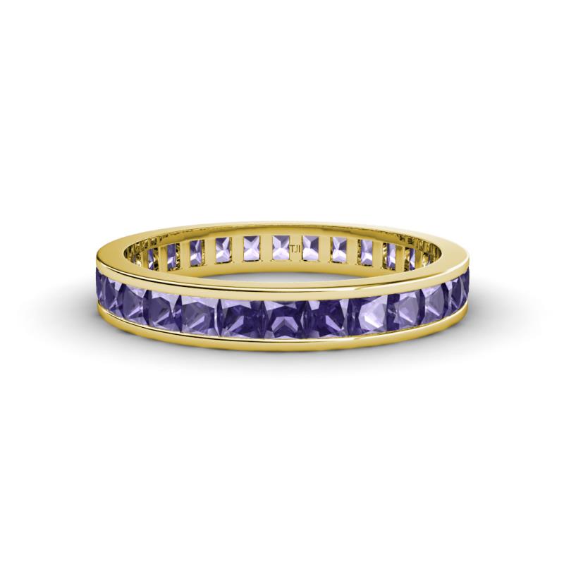 Rebica 3.00 mm Princess Cut Iolite Eternity Band 