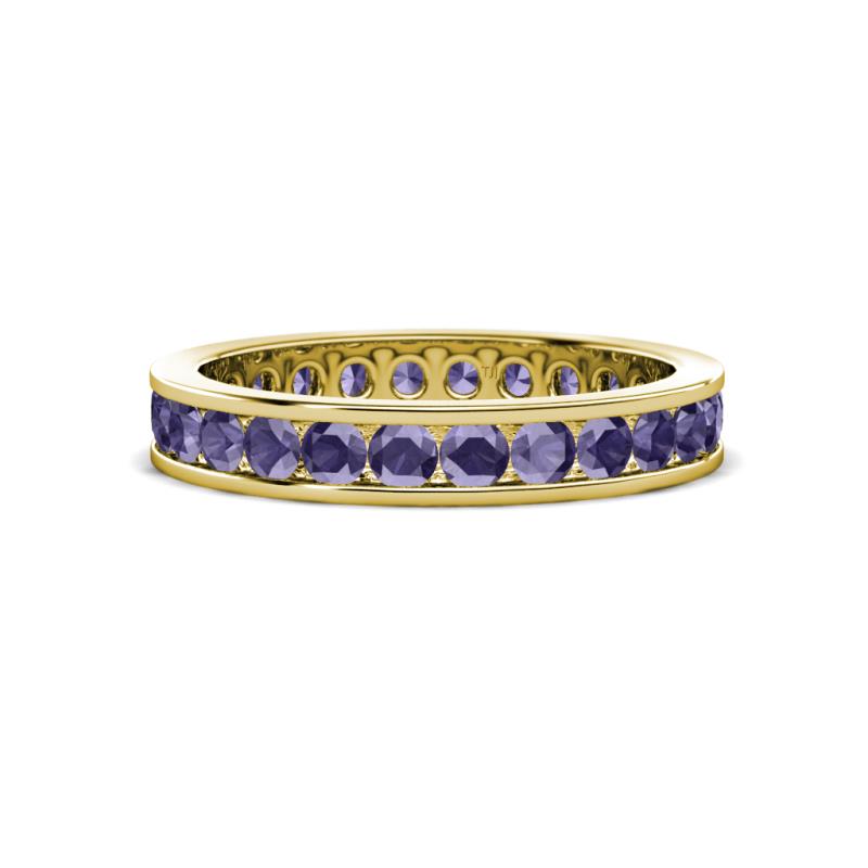 Celina 2.70 mm Round Iolite Eternity Band 