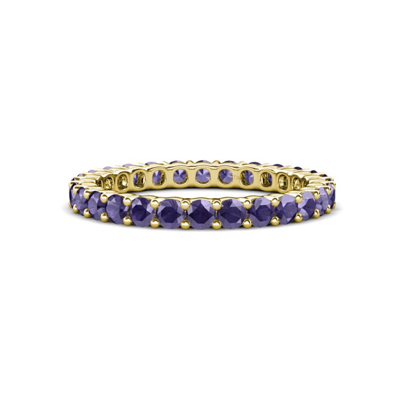 Joyce 2.70 mm Round Iolite Eternity Band 