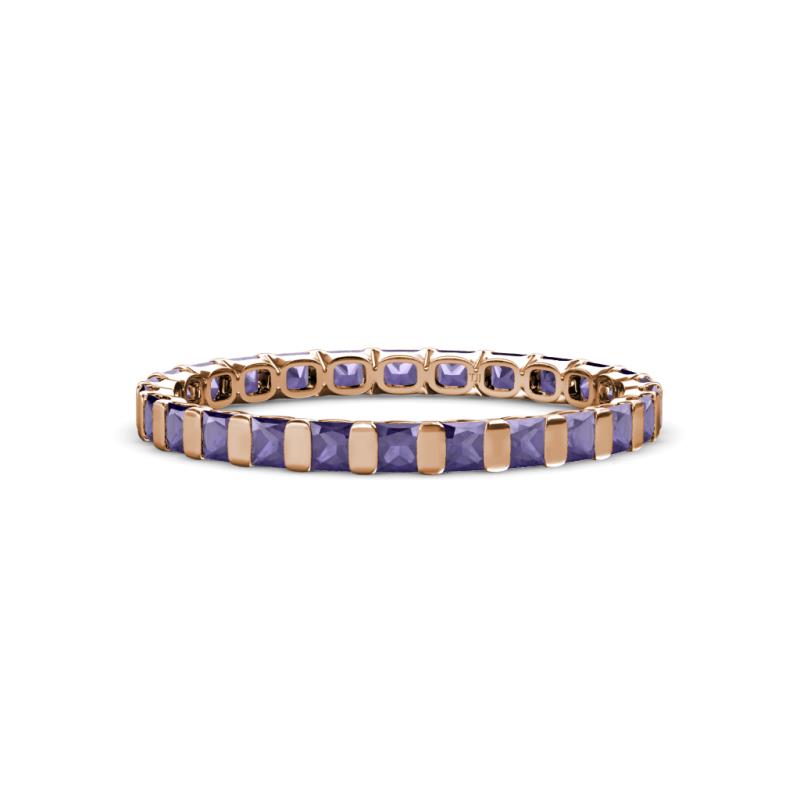 Clarissa 2.50 mm Princess Cut Iolite Eternity Band 