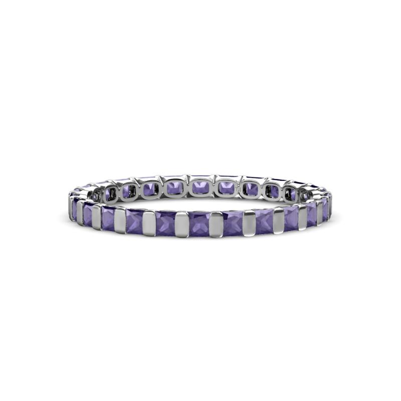 Clarissa 2.50 mm Princess Cut Iolite Eternity Band 